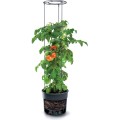 Květináč na pěstování rajčat GROWER antracit