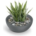 Plastový květináč MOLIOS BOWLS pískový
