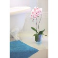Květináč Coubi Orchidea zelený transparentní mat
