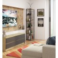 Knihovna Rita s kovovým rámem 50 cm - černá/dub artisan - 6 polic