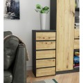 Komoda CL5 40 cm grafitově šedá/dub artisan
