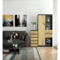 Komoda CL5 40 cm grafitově šedá/dub artisan