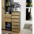 Komoda CL6 40 cm grafitově šedá/dub artisan