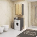 Závěsná koupelnová skříňka Fin W64 64 cm grafit/dub artisan