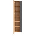 Koupelnová skříňka se zrcadlem vysoká Madera 803 1D dub artisan/grafit