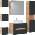 Koupelnová závěsná skříňka Aruba 831 1D dub craft zlatý/vesmírně šedá mat