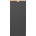 Koupelnová skříňka s košem na prádlo Capri 811 1D černý mat/dub kraft zlatý
