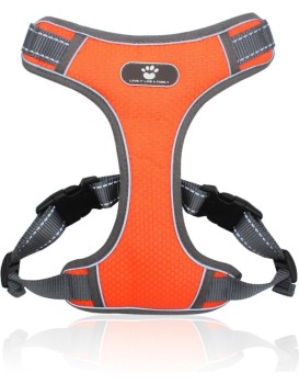 Postroj pro psy ASTRO S oranžový