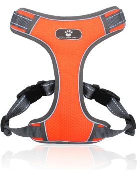 Postroj pro psy Astro L oranžový