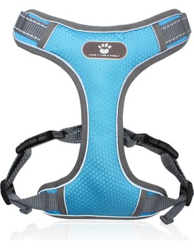Postroj pro psy Astro XL modrý