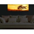 Obraz s LED osvětlením STROM V ZÁPADU SLUNCE 27 30 x 90 cm