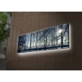 Obraz s LED osvětlením ZIMNÍ KRAJINA 37 30 x 90 cm
