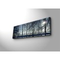 Obraz s LED osvětlením ZIMNÍ KRAJINA 37 30 x 90 cm