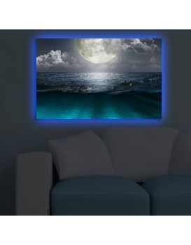 Obraz s led osvětlením Simon 70x45 cm
