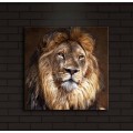 Obraz s LED osvětlením KRÁL ZVÍŘAT 20 40 x 40 cm