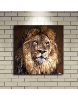Obraz s LED osvětlením KRÁL ZVÍŘAT 20 40 x 40 cm