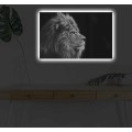 Obraz s LED osvětlením ČERNOBÍLÝ LEV 58 45 x 70 cm