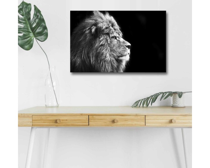 Obraz s LED osvětlením ČERNOBÍLÝ LEV 58 45 x 70 cm
