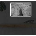 Obraz s LED osvětlením KORUNA STROMU 68 45 x 70 cm