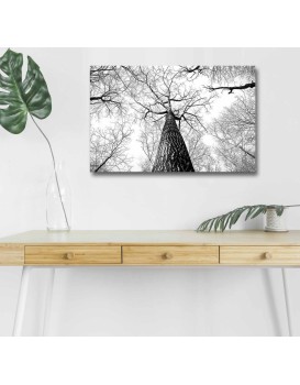 Obraz s LED osvětlením KORUNA STROMU 68 45 x 70 cm