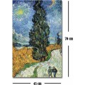 Reprodukce obrazu Vincent van Gogh 101 45 x 70 cm