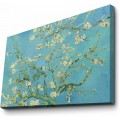 Obraz ALMOND BLOSSOM od V. V. GOGHA 70x100 cm