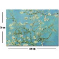 Obraz ALMOND BLOSSOM od V. V. GOGHA 70x100 cm
