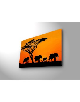 Obraz s LED osvětlením SLONÍ PUTOVÁNÍ 53 45 x 70 cm