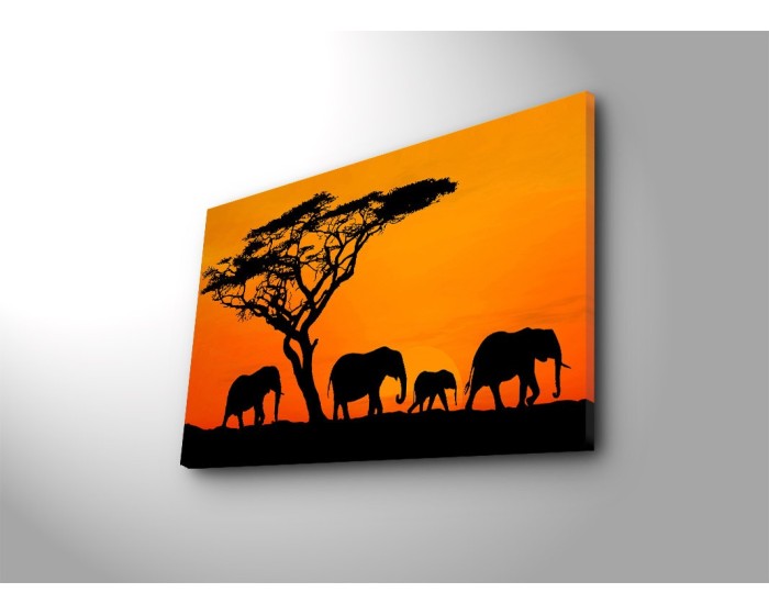 Obraz s LED osvětlením SLONÍ PUTOVÁNÍ 53 45 x 70 cm