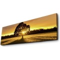 Obraz s led osvětlením Ledda Tree 90x30 cm