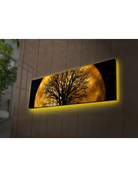 Obraz s led osvětlením Ledda Night 90x30 cm