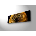 Obraz s led osvětlením Ledda Night 90x30 cm