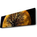 Obraz s led osvětlením Ledda Night 90x30 cm
