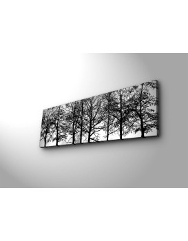Obraz s LED osvětlením VĚTVE STROMŮ 72 30 x 90 cm