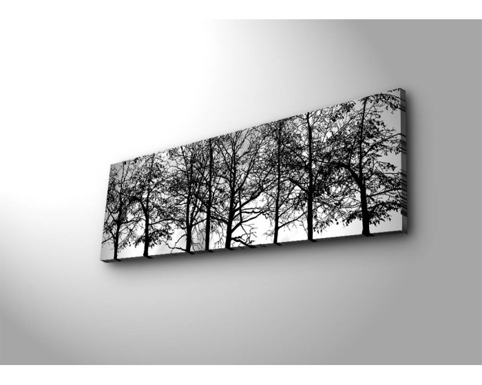 Obraz s LED osvětlením VĚTVE STROMŮ 72 30 x 90 cm