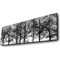Obraz s LED osvětlením VĚTVE STROMŮ 72 30 x 90 cm