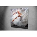 Obraz na plátně White swan KC012 45x45 cm