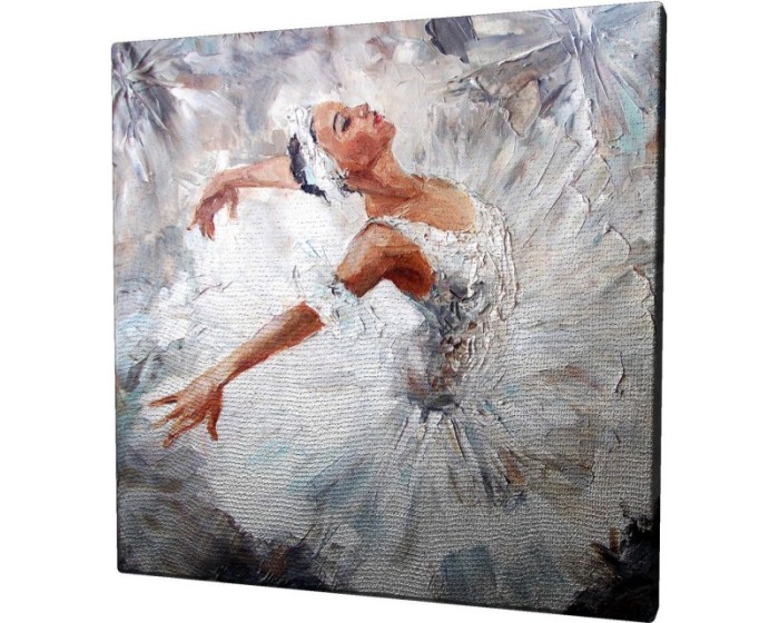 Obraz na plátně White swan KC012 45x45 cm