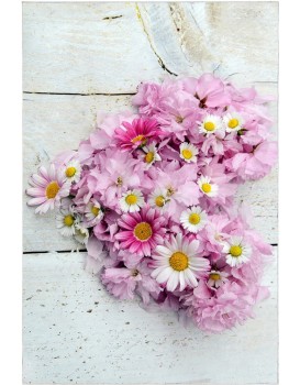 Sada 2 kusů koupelnových předložek FlowersForYou bílá/růžová