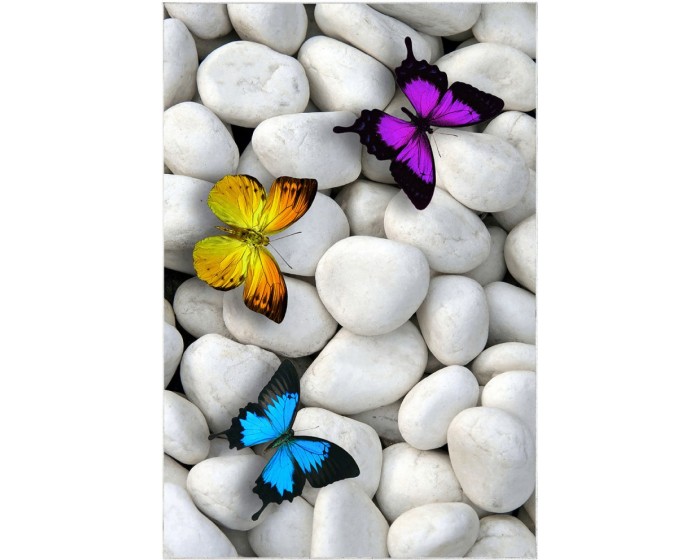 Sada 2 kusů koupelnových předložek ButterflyStone šedá
