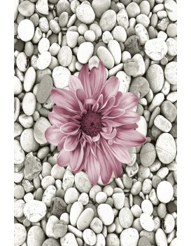Koberec Bloom 60x100 cm šedý/růžový