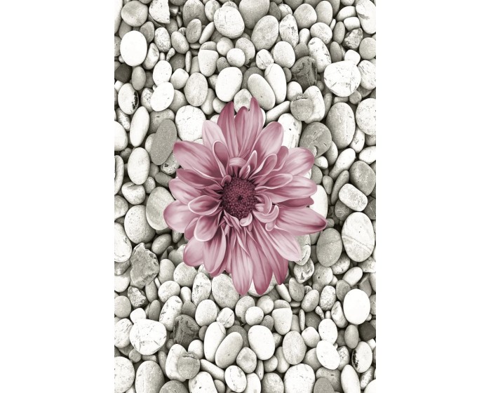 Koberec Bloom 60x100 cm šedý/růžový