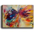 Obraz Motýl 70x50 cm vícebarevný