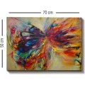 Obraz Motýl 70x50 cm vícebarevný