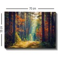Obraz na plátně Miracle forest 50x70 cm