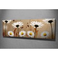 Obraz na plátně Daisies safari PC042 30x80 cm