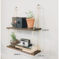 Nástěnná police Shelf I ořech americký