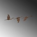 Nástěnná kovová dekorace Rusty Birds 1 vícebarevná