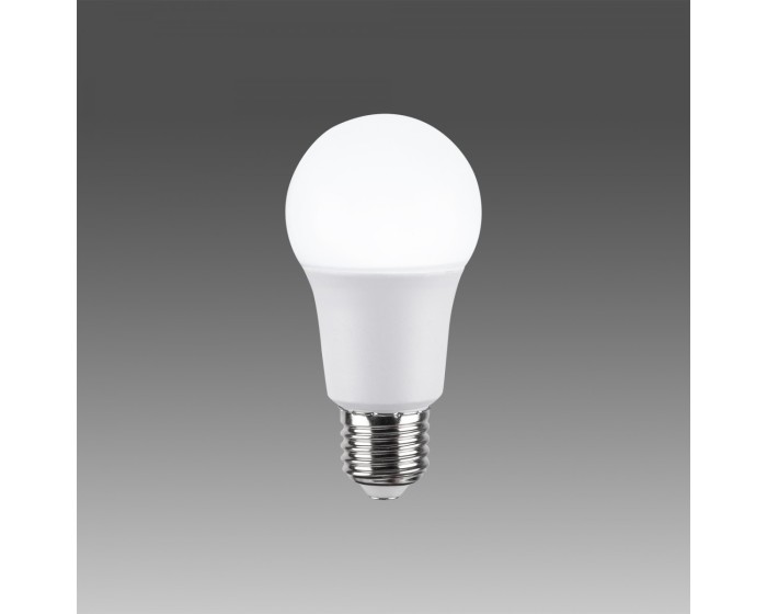 LED žárovka BULB 009 studená bílá