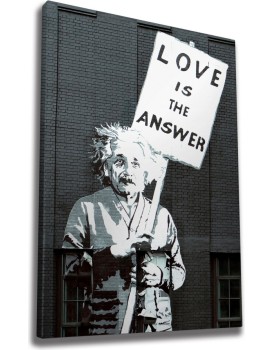 Obraz na plátně Einstein WY32 50x70 cm